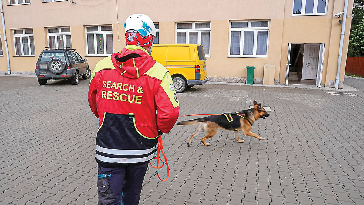 Felkészültek a legváratlanabbra